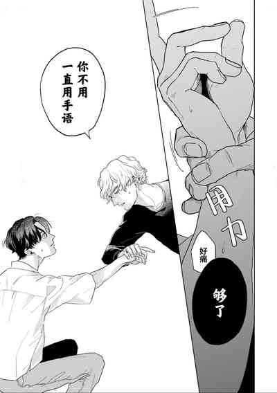 第219頁圖