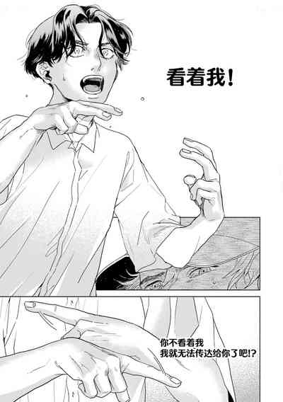 第223頁圖