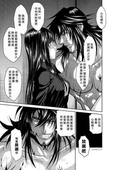 第223頁圖