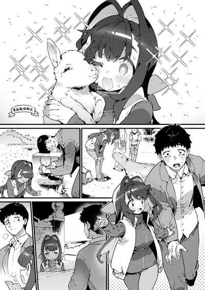 第11頁圖