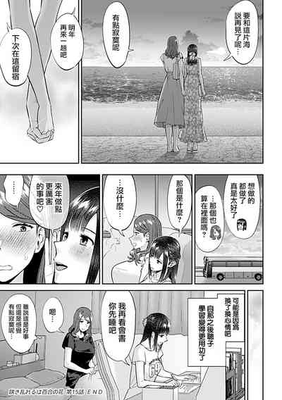 第311頁圖