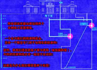 第211頁圖
