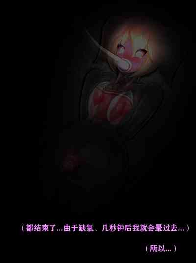 第295頁圖