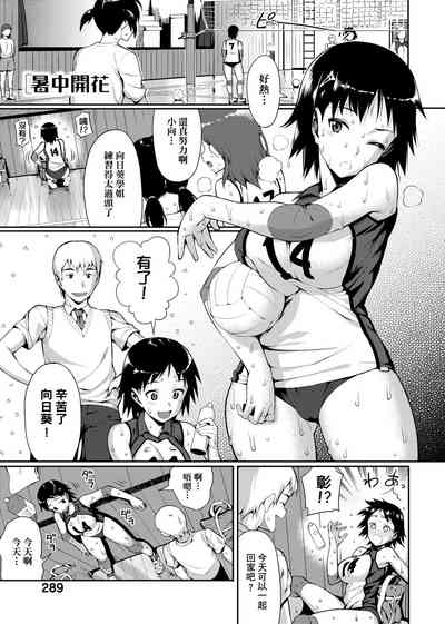 第291頁圖