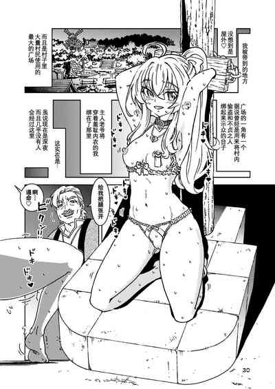 第31頁圖
