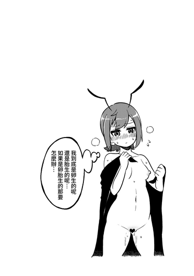 第31页图