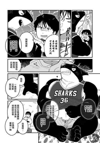 第19頁圖