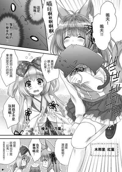 第11頁圖