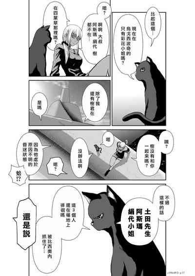 第291頁圖
