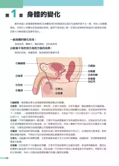 第7頁圖