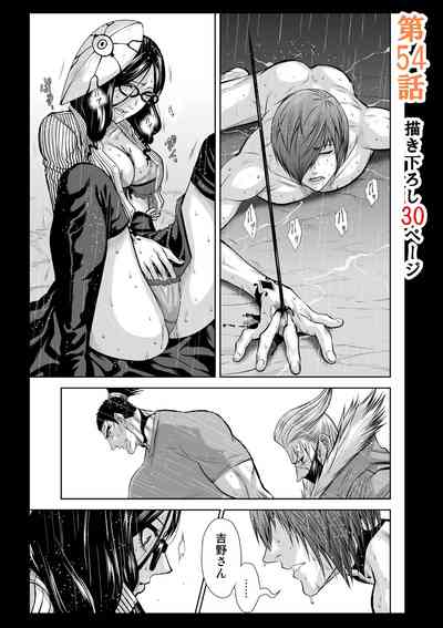第251頁圖