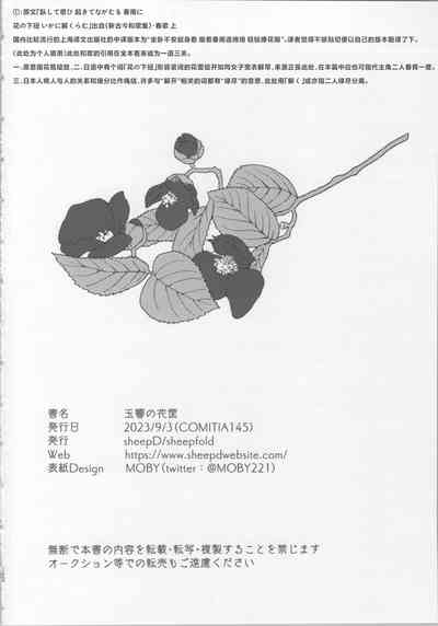 第31頁圖