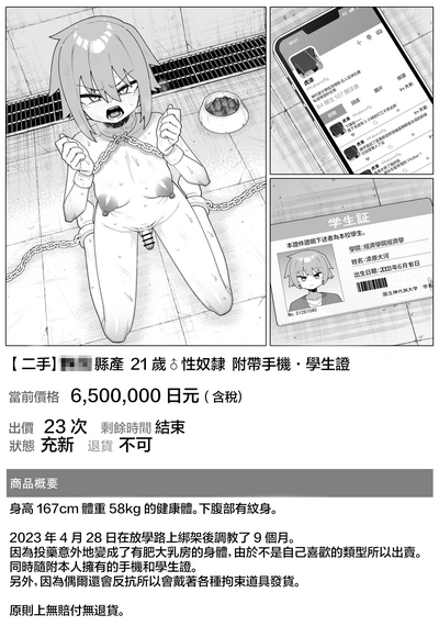 第43頁圖