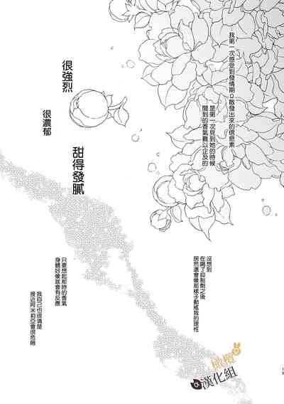 第19页图