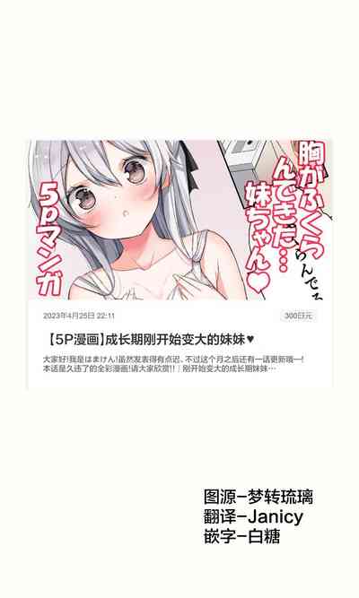 第543頁圖