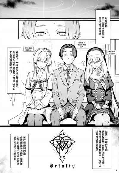第3页图