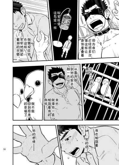 第35页图
