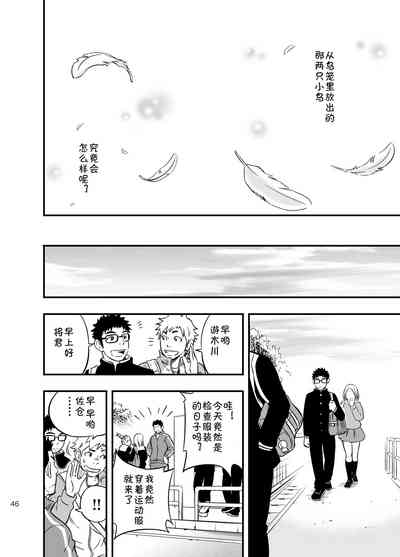 第43页图