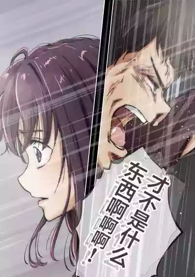 第43頁圖