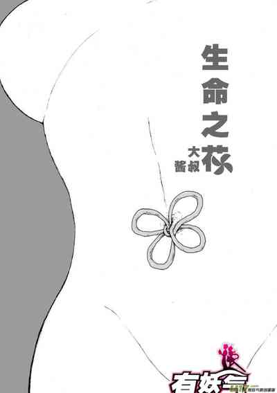 第239頁圖