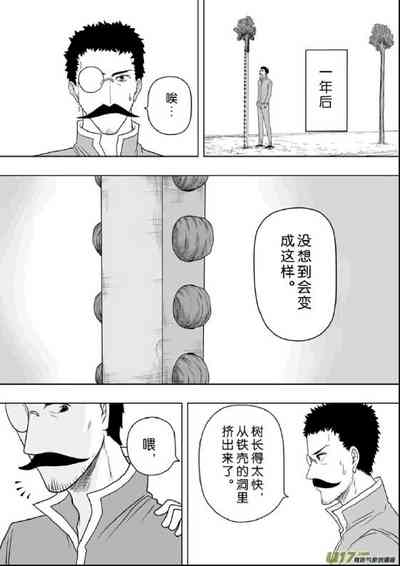 第243頁圖