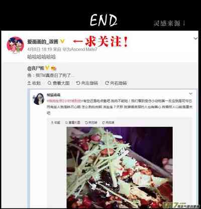 第251頁圖