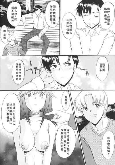 第11頁圖