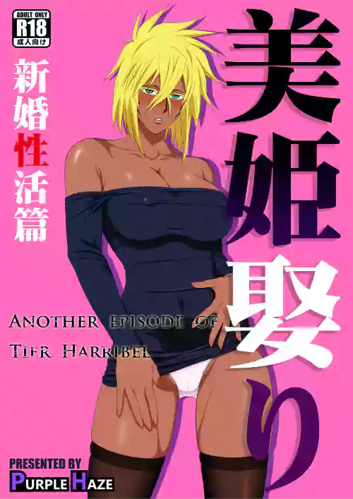 美姫娶り 新婚性活篇图