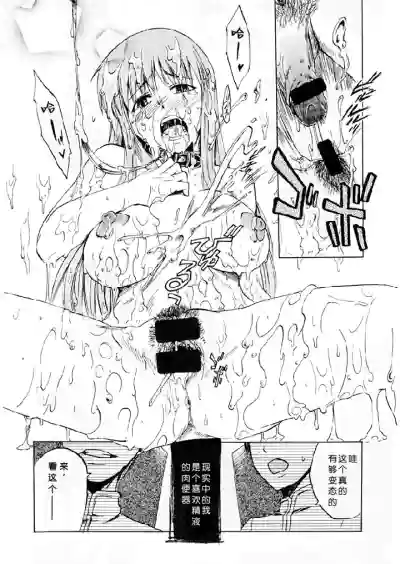 第19頁圖