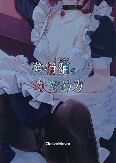 第19頁圖