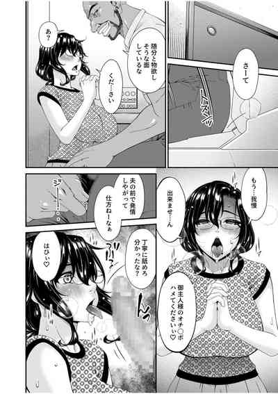 第263頁圖