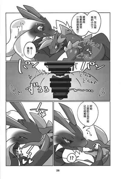 第27页图