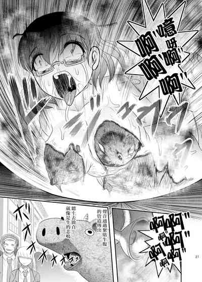 第27頁圖