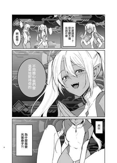 第3页图