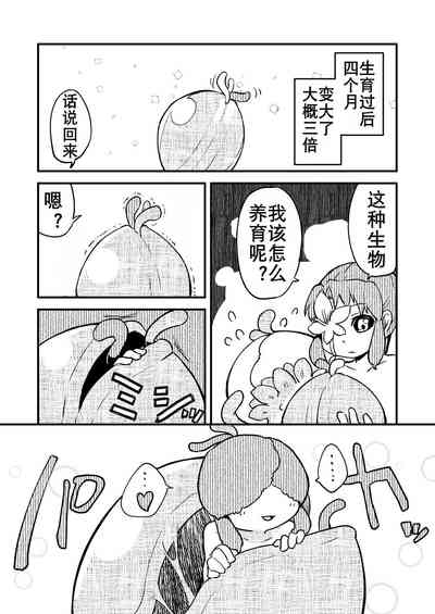 第67頁圖