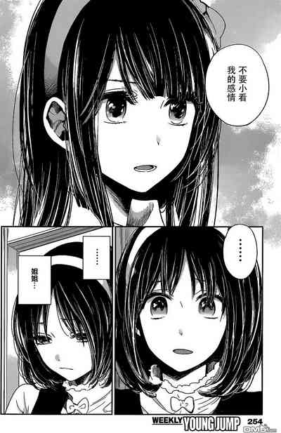 第335頁圖