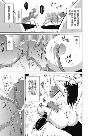 第111頁圖