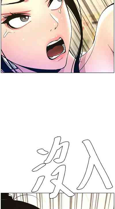 第239頁圖