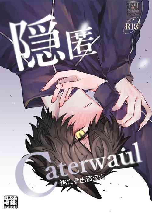 隠匿Caterwau图