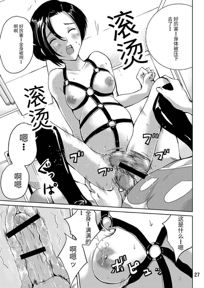 第27页图