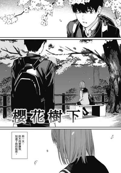 第91頁圖