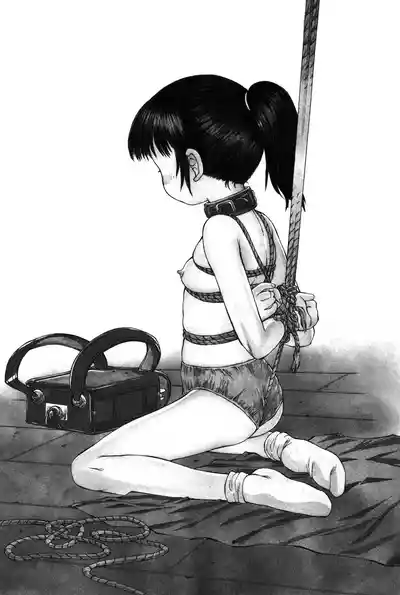 第163页图