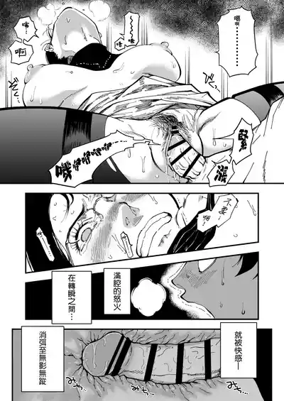 第43页图