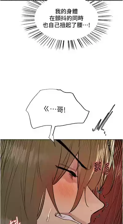 第371頁圖