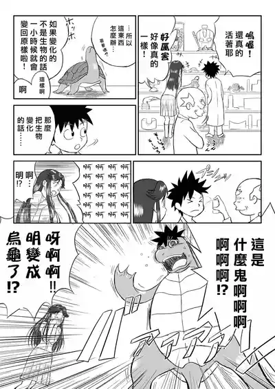 第11页图