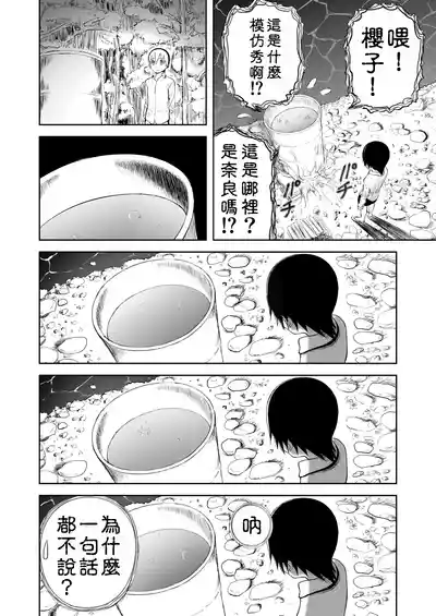第295页图