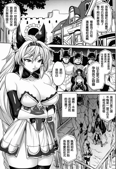 第3页图