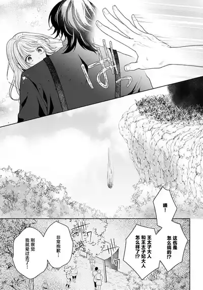 第339頁圖