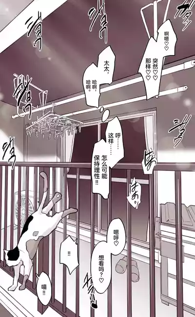 第255頁圖