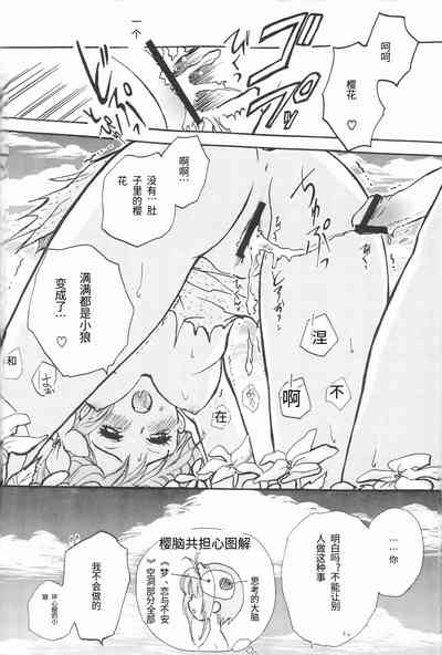 第27頁圖